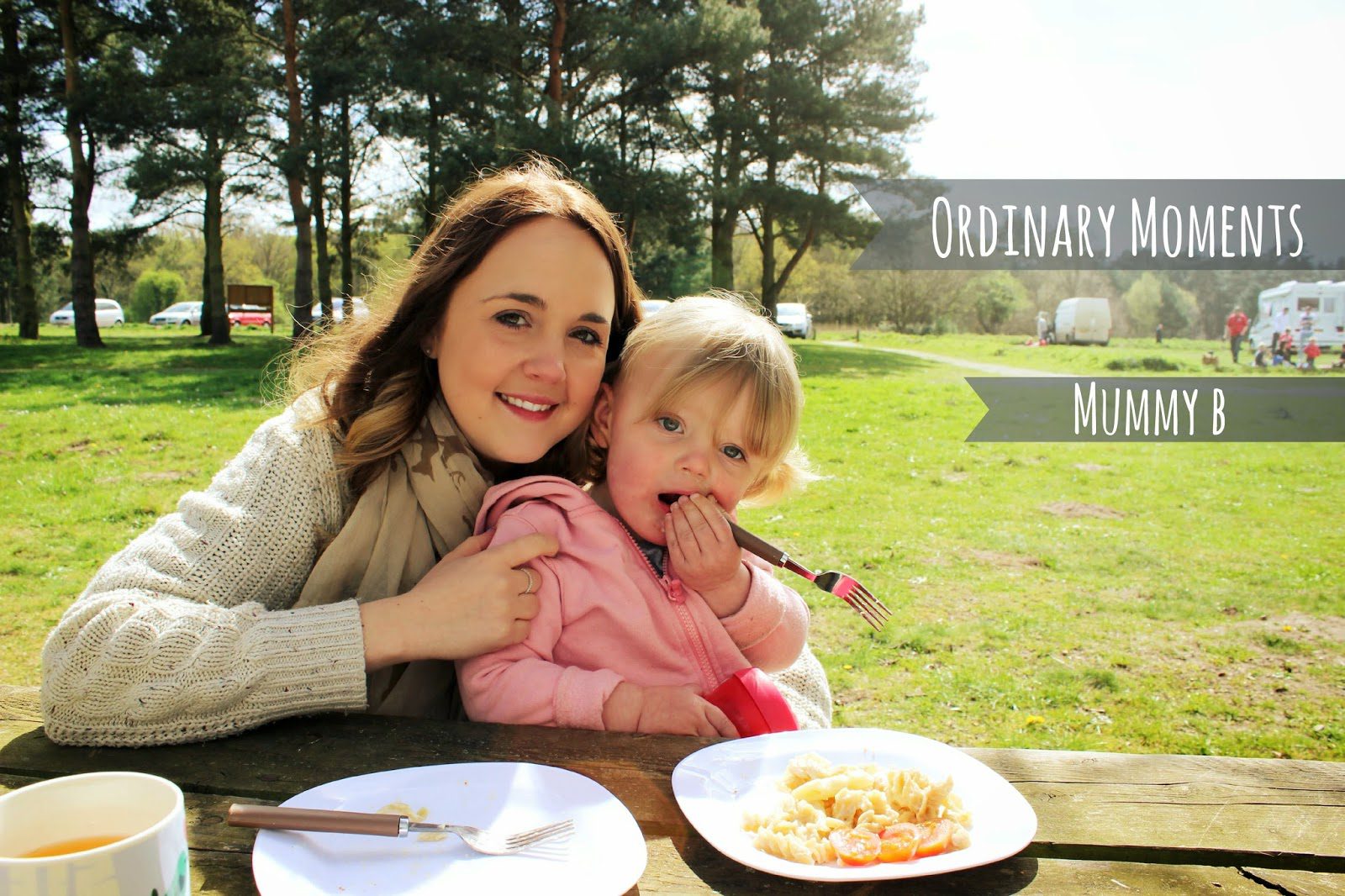 Picnic at Knettleshall Heath and thoughts on YouTube…