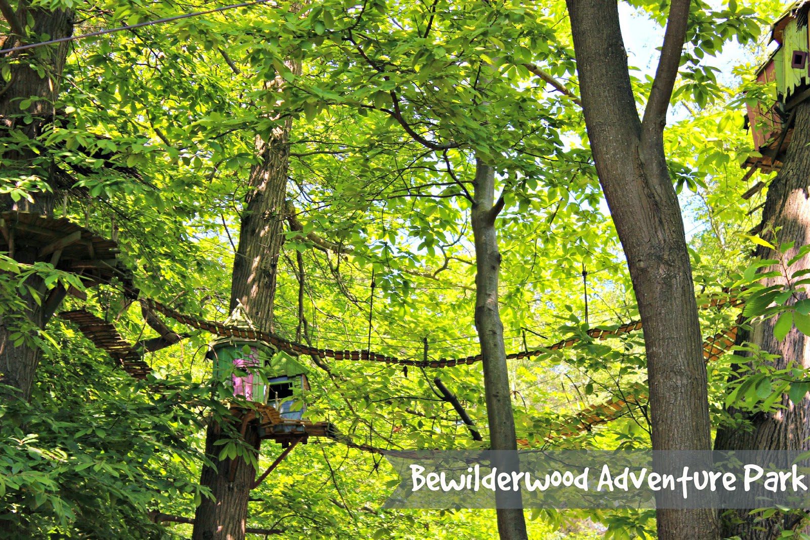 Bewilderwood Fun Perfect For A Two Year Old