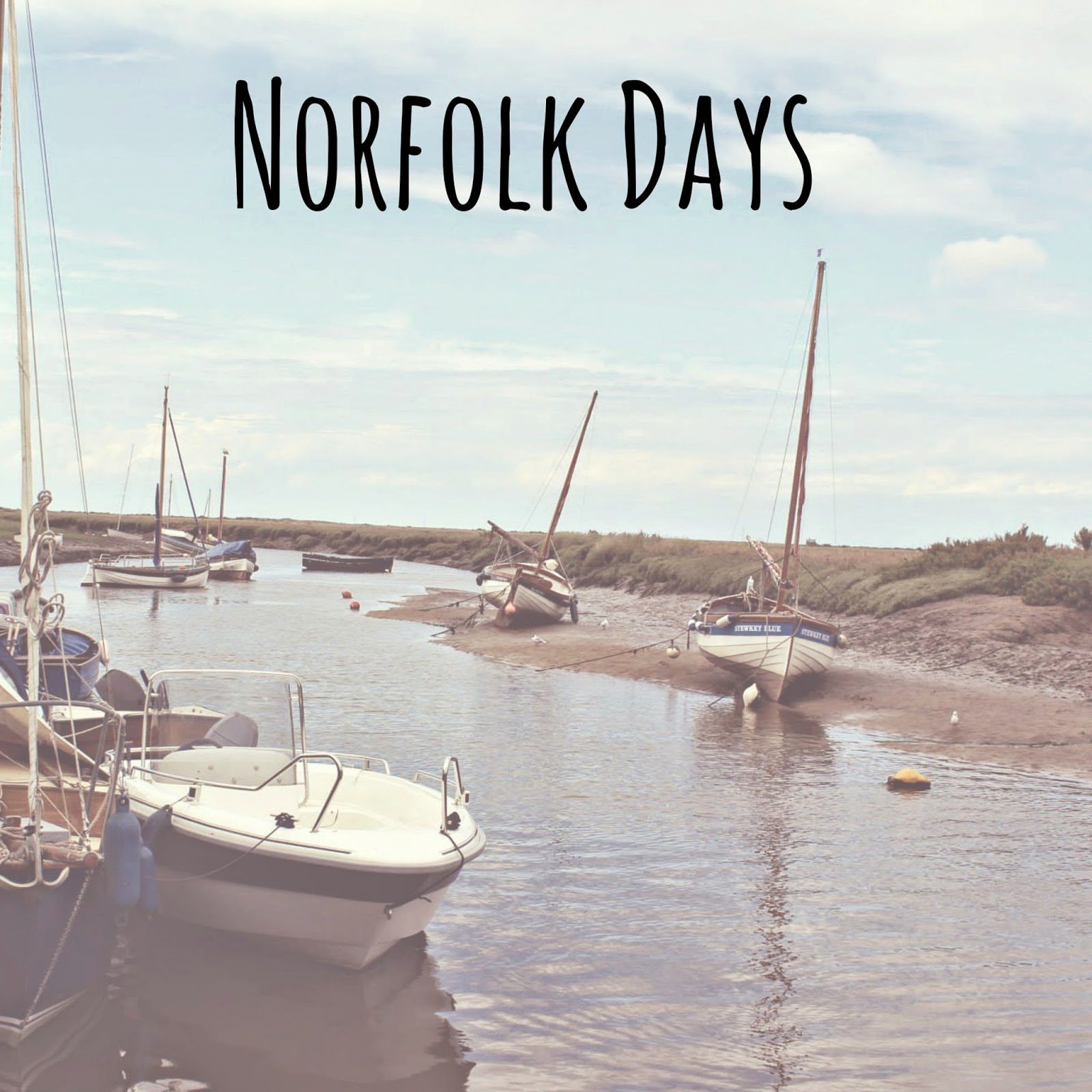 A New Venture // Norfolk Days