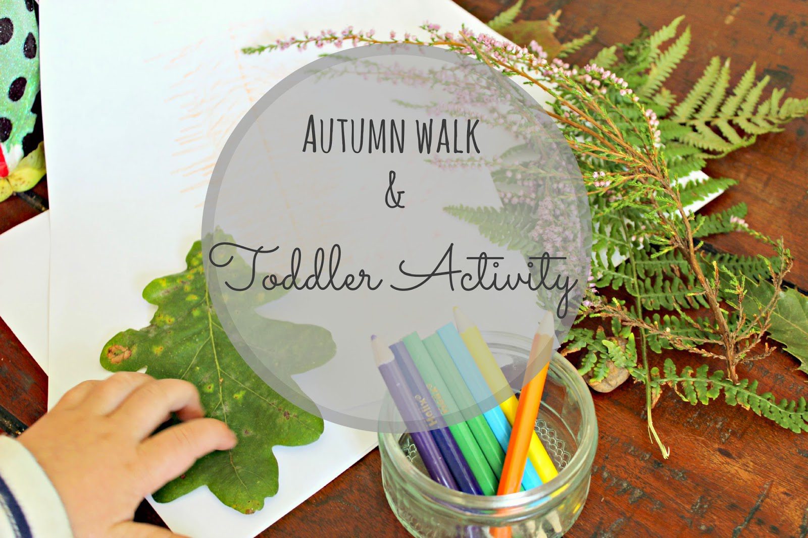 Not so autumnal walk & autumn activity