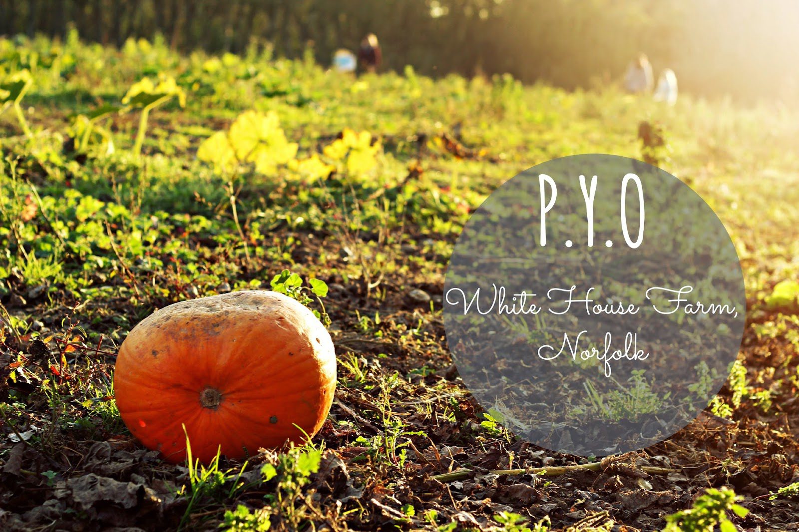 P.Y.O at White House Farm, Norfolk