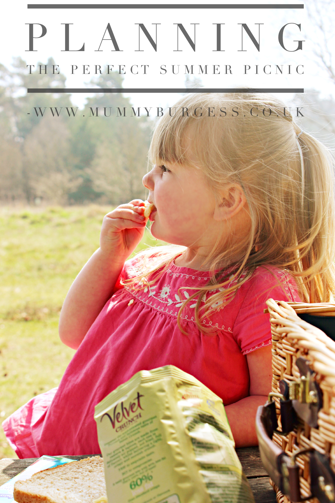 Planning the Perfect Summer Picnic