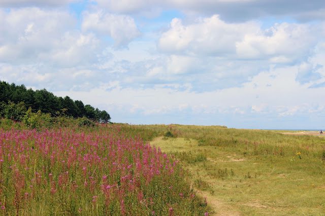 Holkham Beach