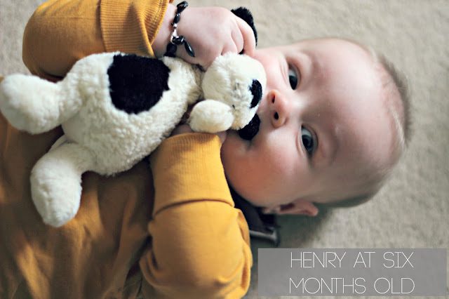Henry at Six Months