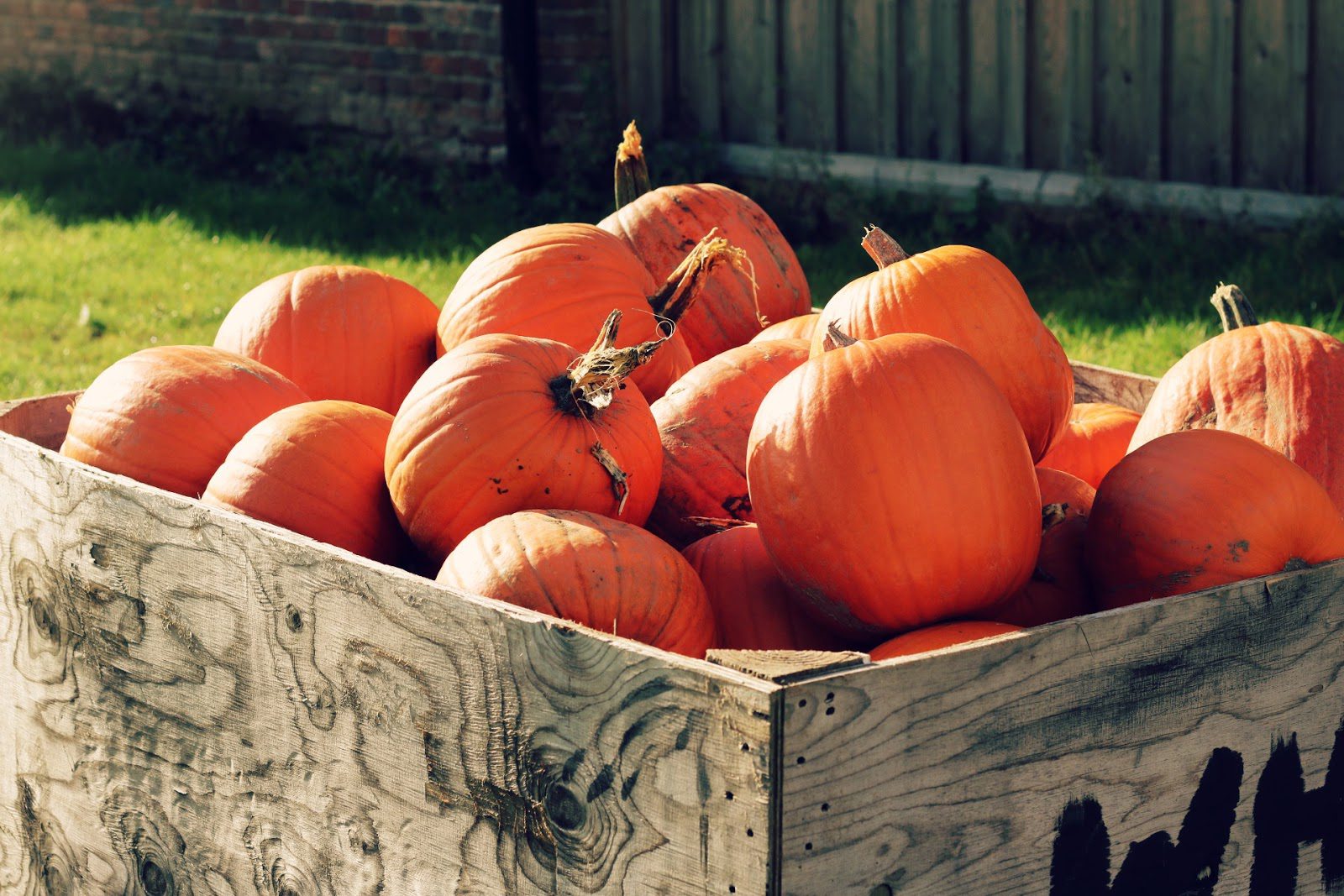 Last Minute Halloween Decoration Ideas