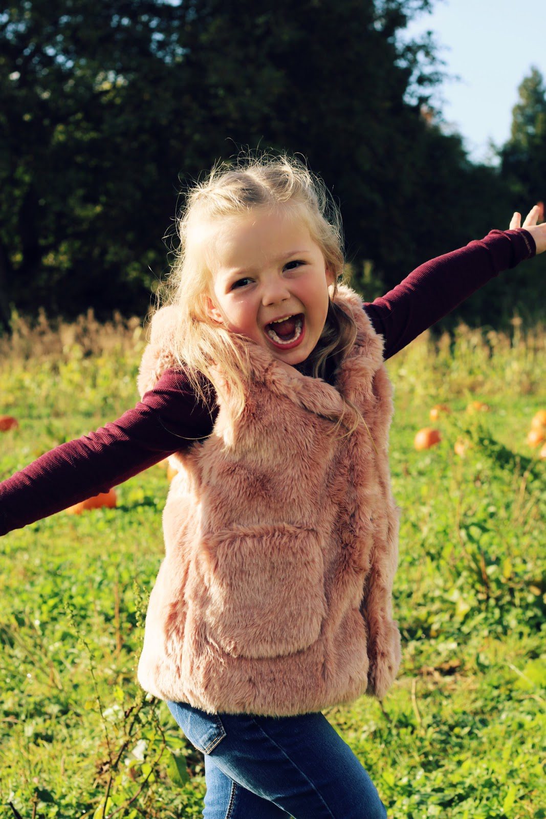 Pumpkin Patch Fun & Half Term is Here!