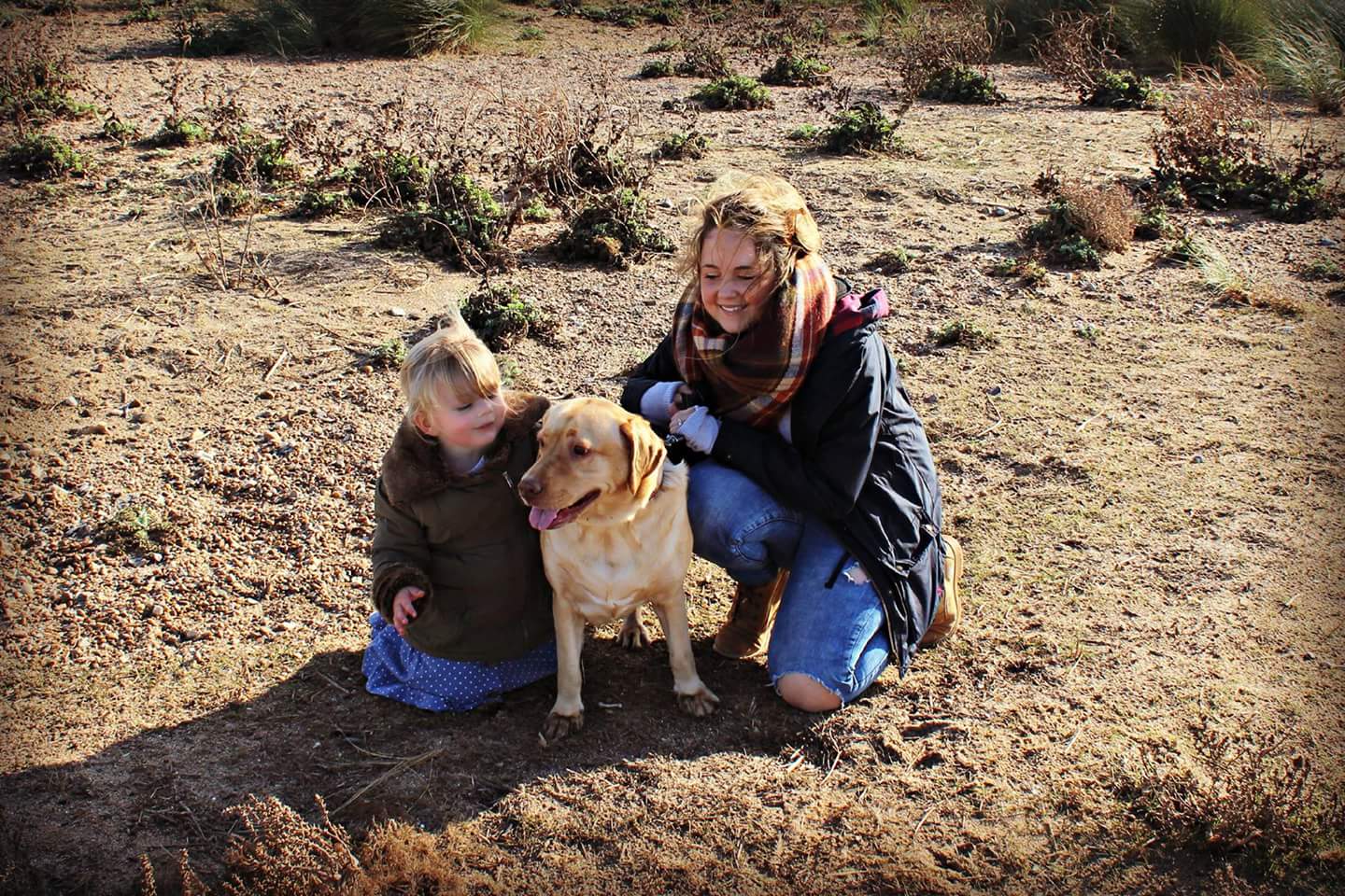 Keeping your pets protected against fleas and ticks