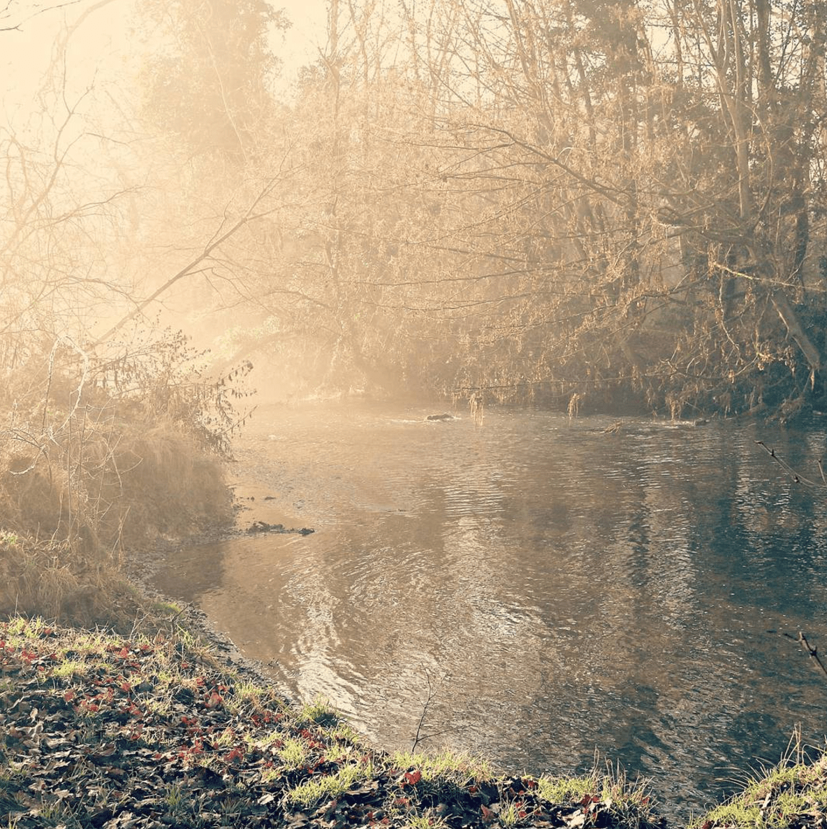 Tips for Winter Photography