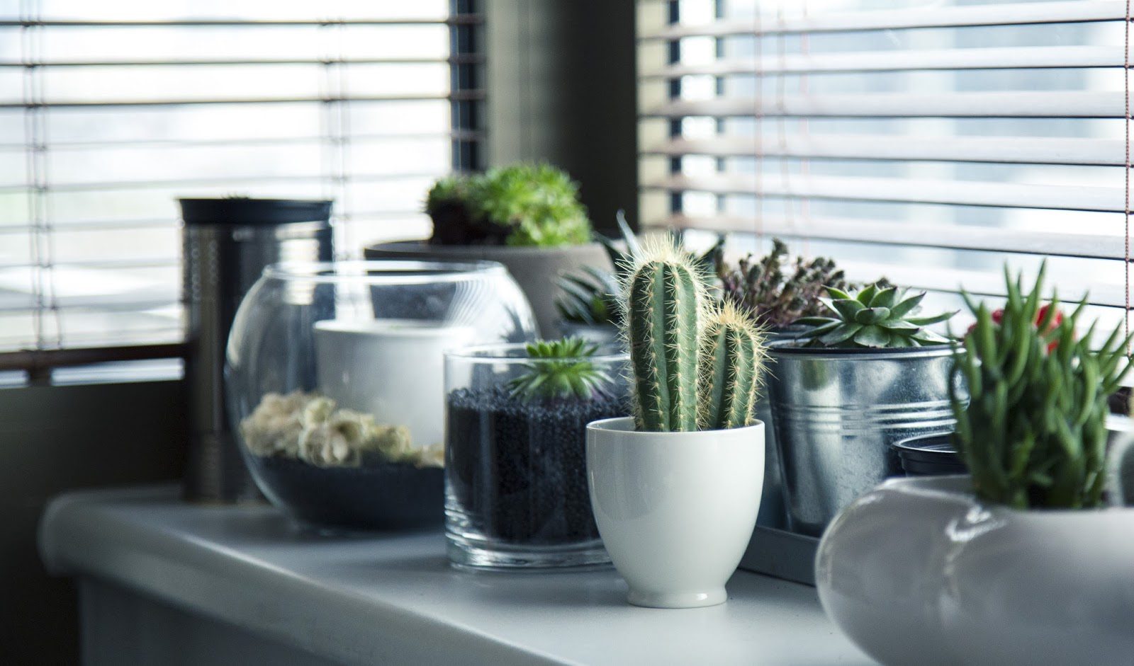 Decorating a Rented Home