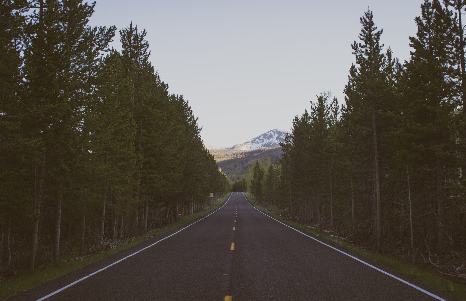 Road Tripping with Kids – Stress Free
