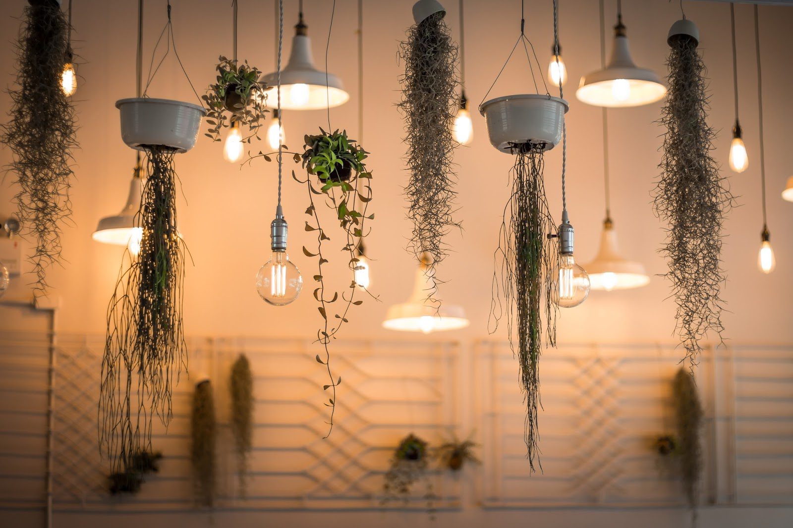 How to Bring Extra Light & Space in Your Home