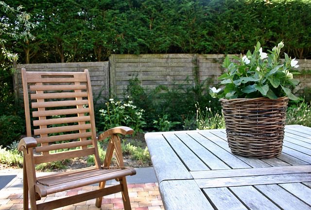 Rattan in Bloom | Competition