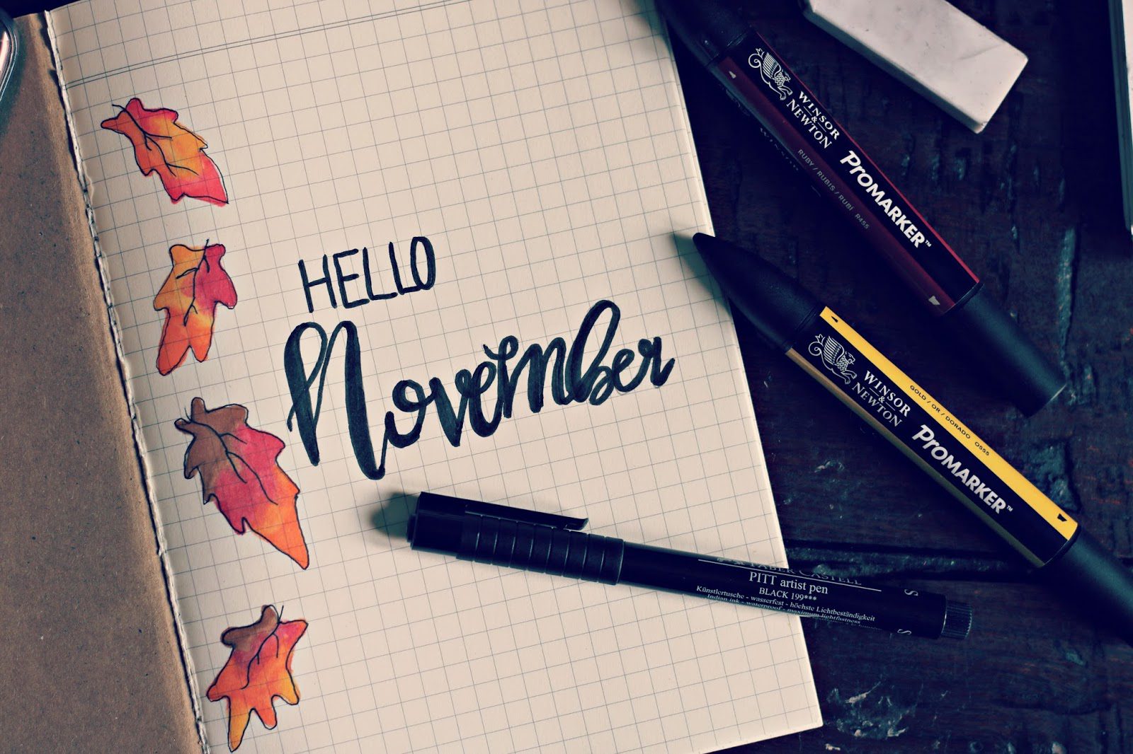 Bullet Journal November 2017 Layout