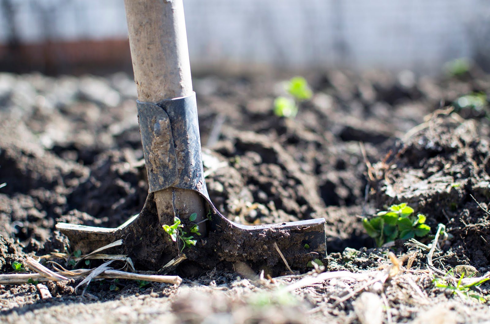 The Main Benefits of Mulching