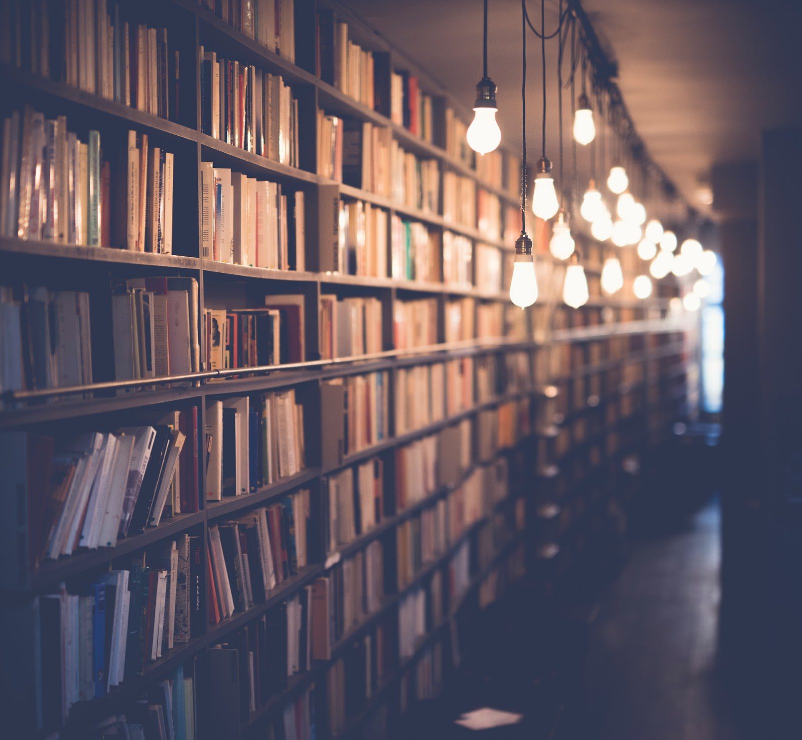 5 Tips to Helping Your Kids Write Great Book Reports