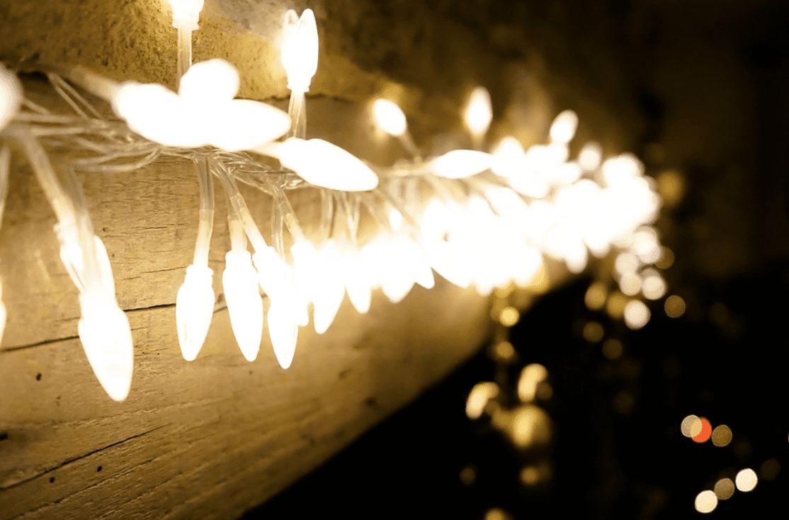 How to Illuminate Your Garden