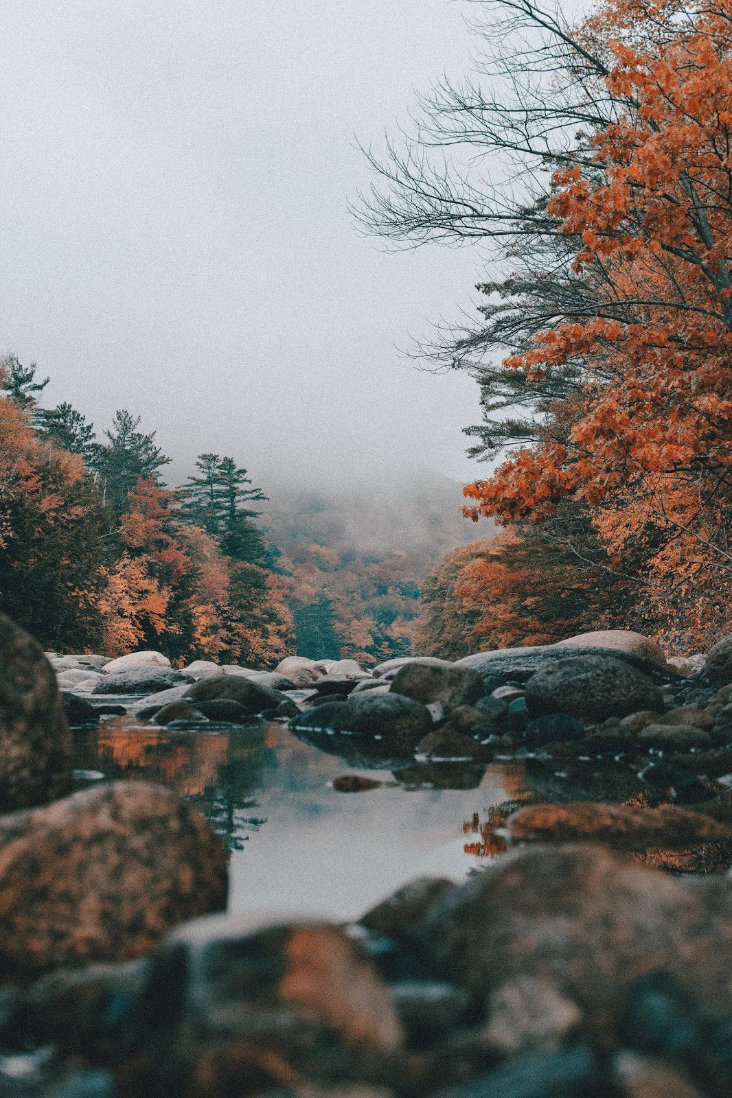 How to Cope with Dark Winter Days