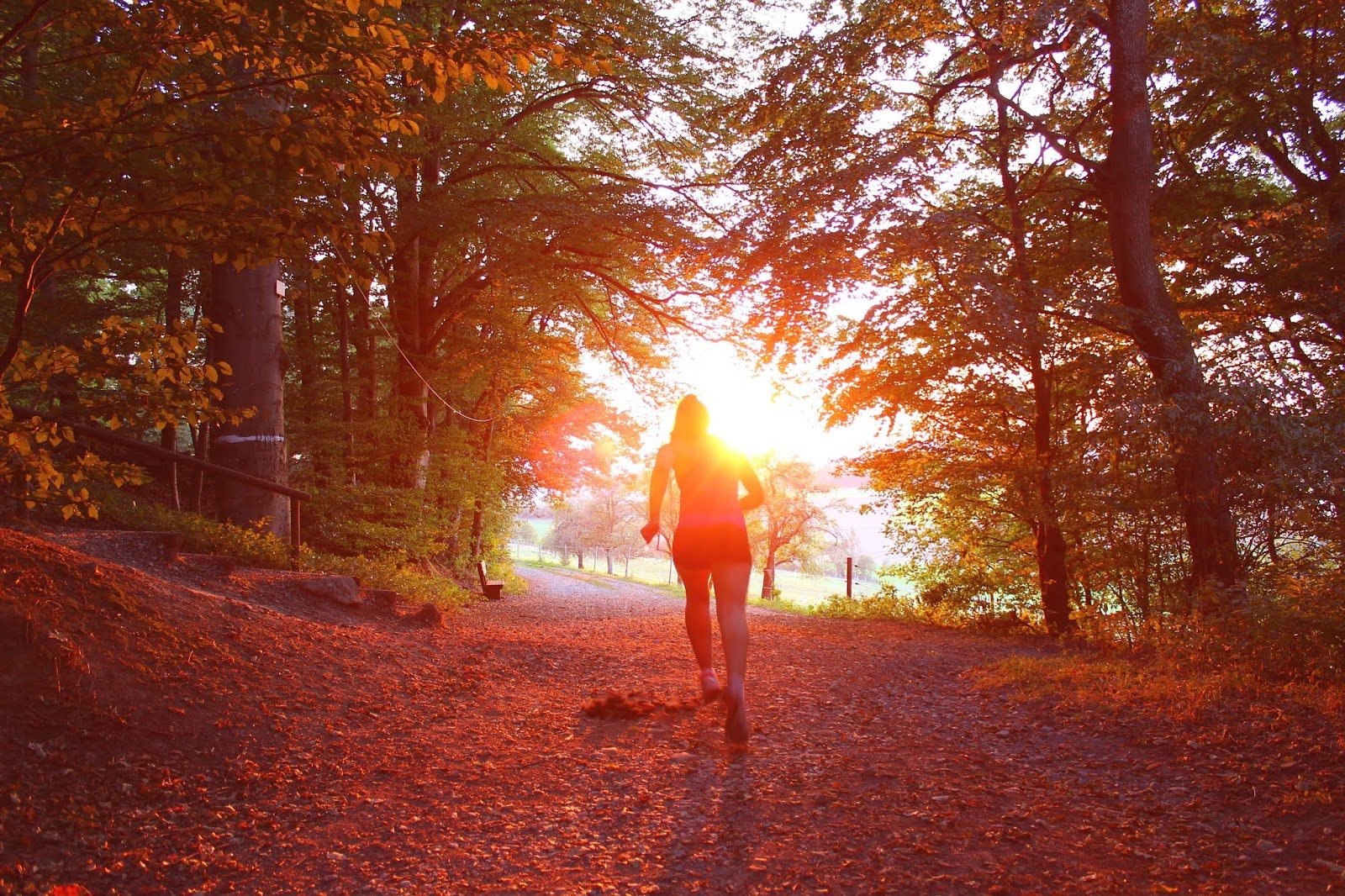 Take care of yourself this Autumn