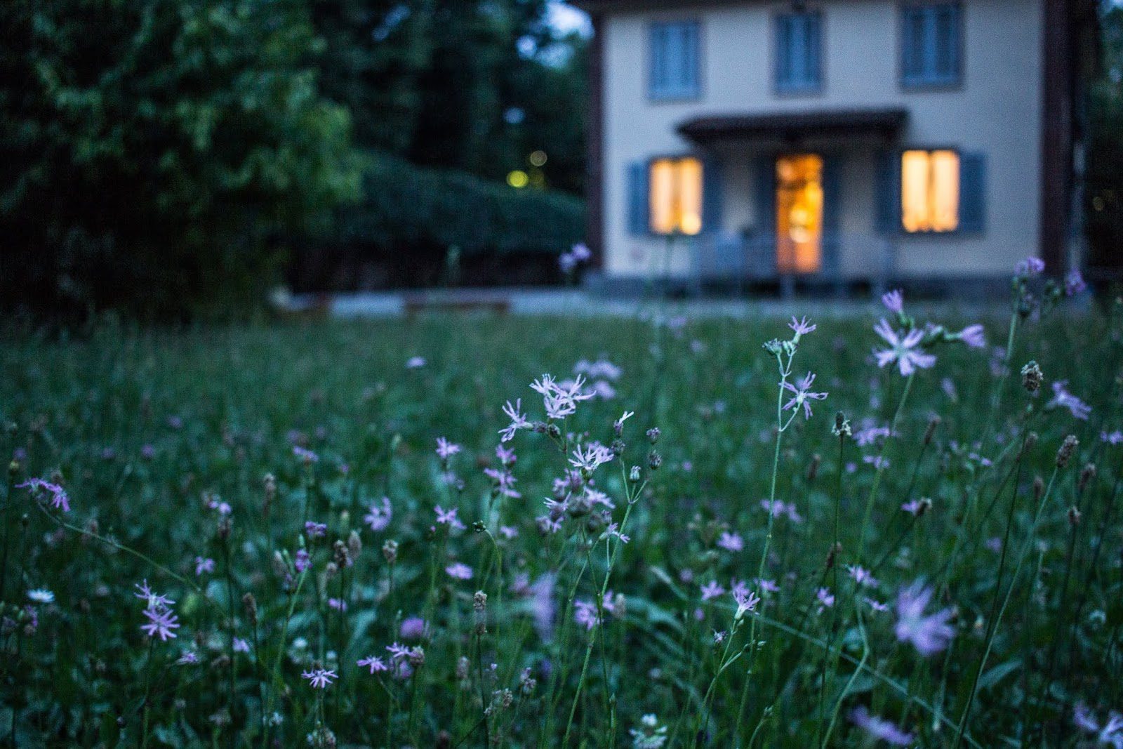 Simple Ways To Increase Your Chances Of Selling Your Home