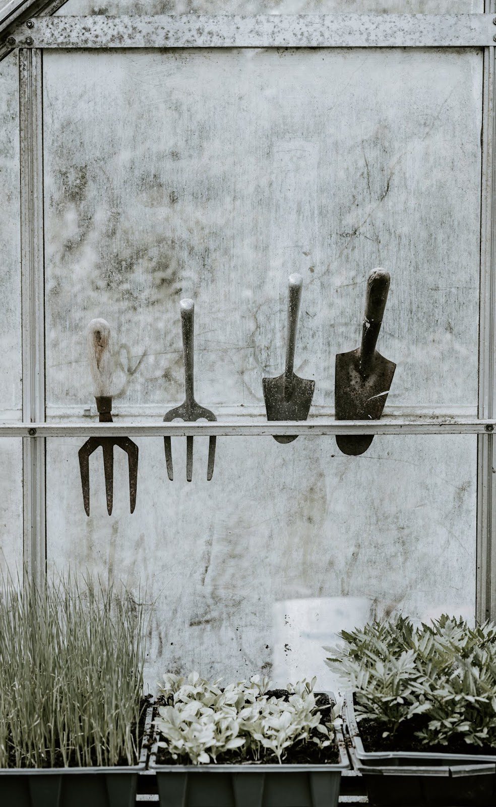 Staying House-Frugal Even With A Disposable Income