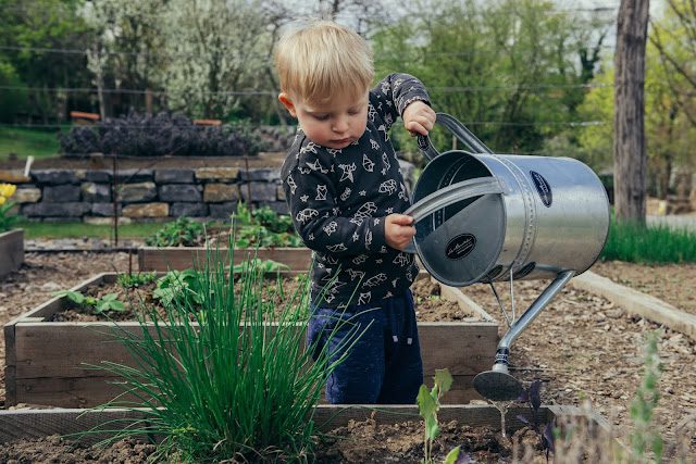 5 Home Projects for Kids during Summer