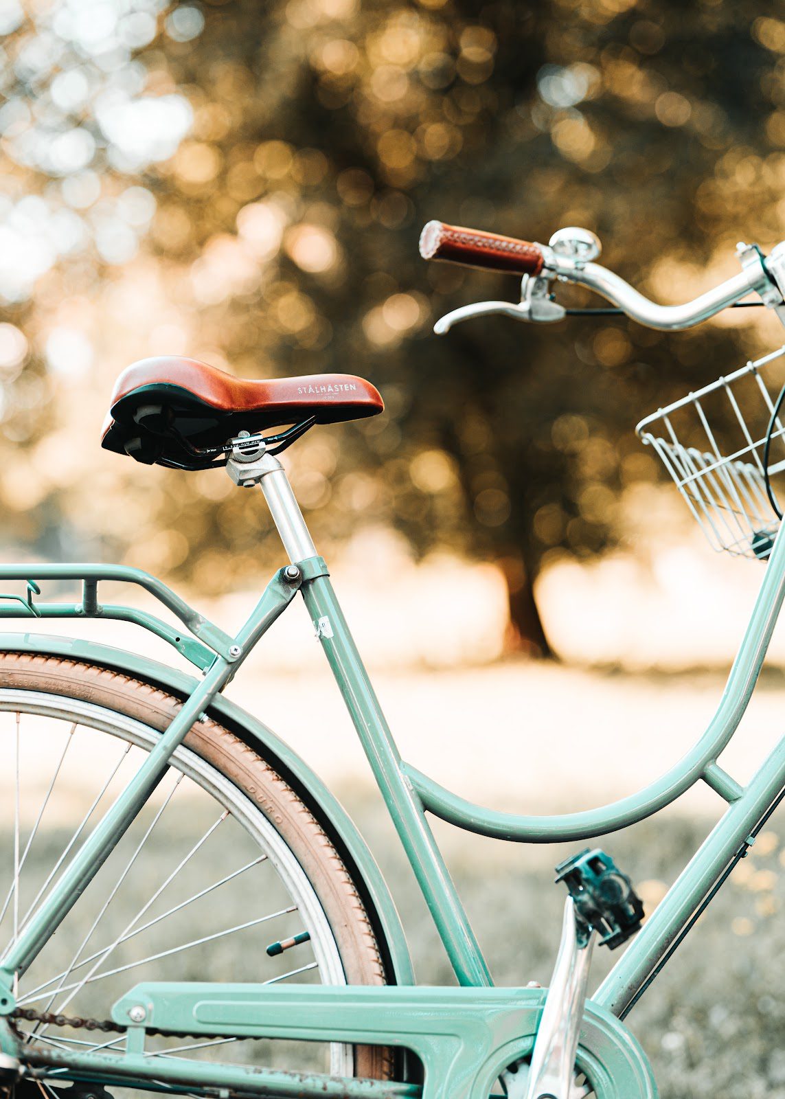 Bike Trends for 2022