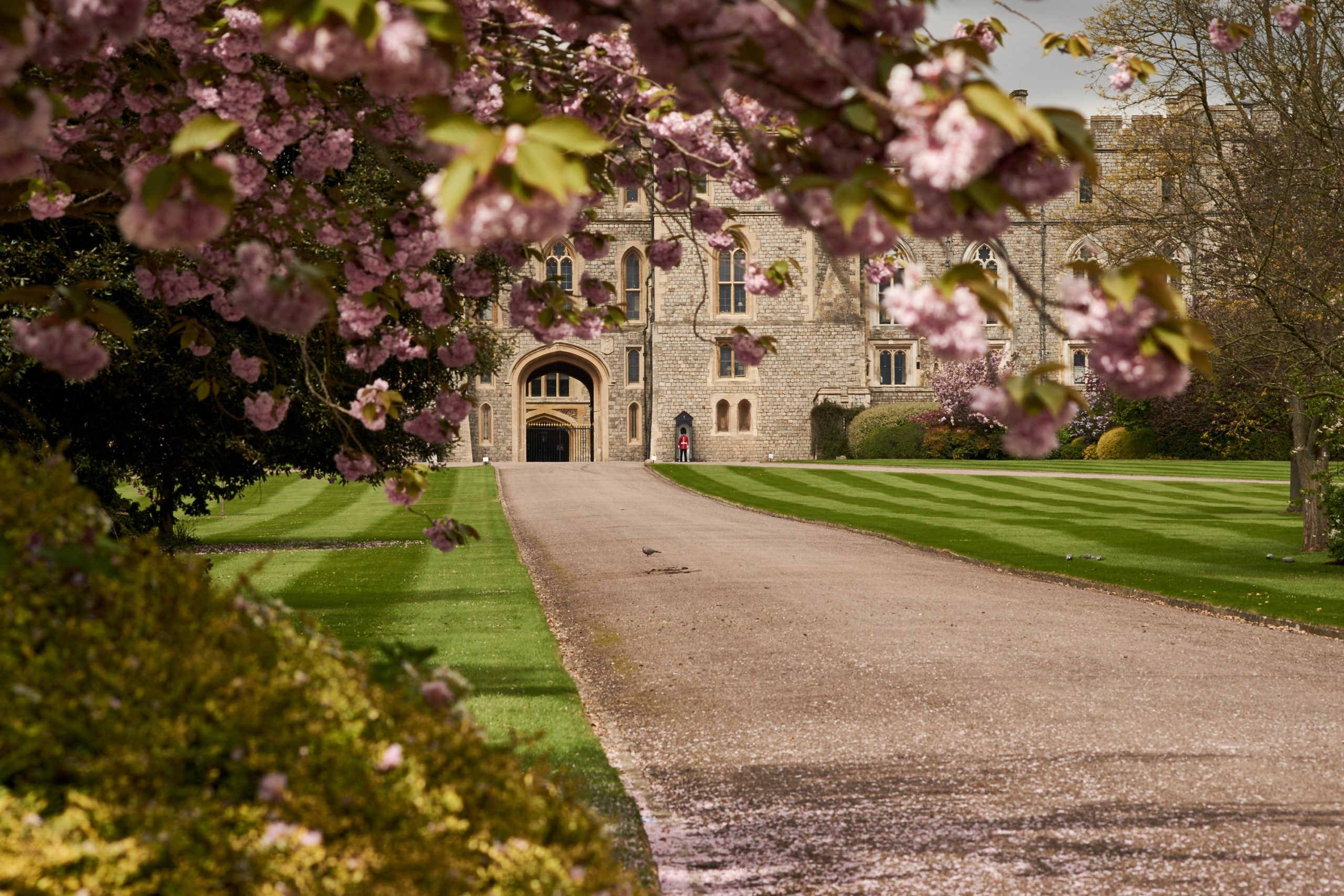 Unlocking Opportunities: How Scholarships Work for Private Schools