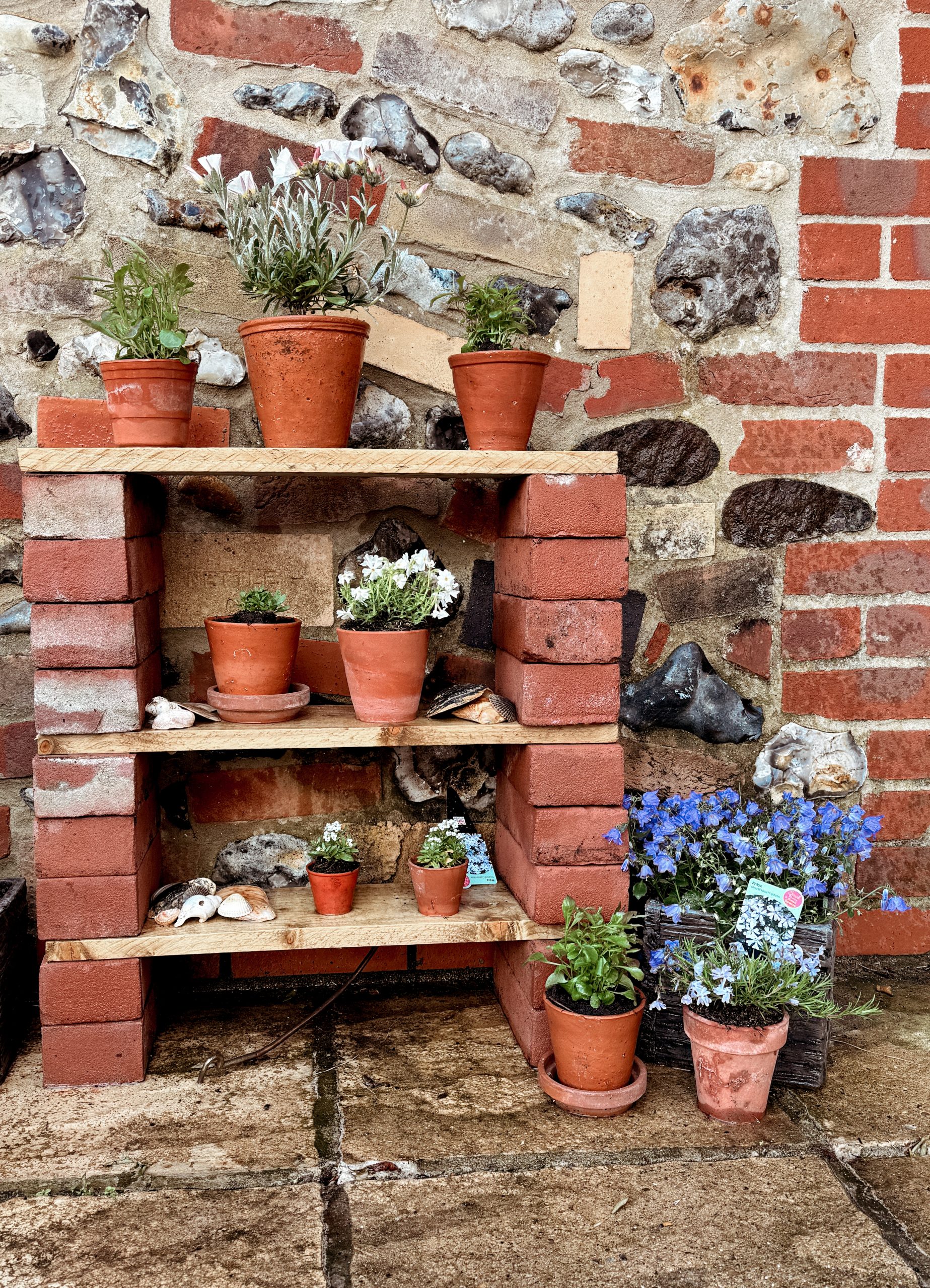 Creating Your Perfect Summer Oasis: Tips for Getting Your Garden Ready