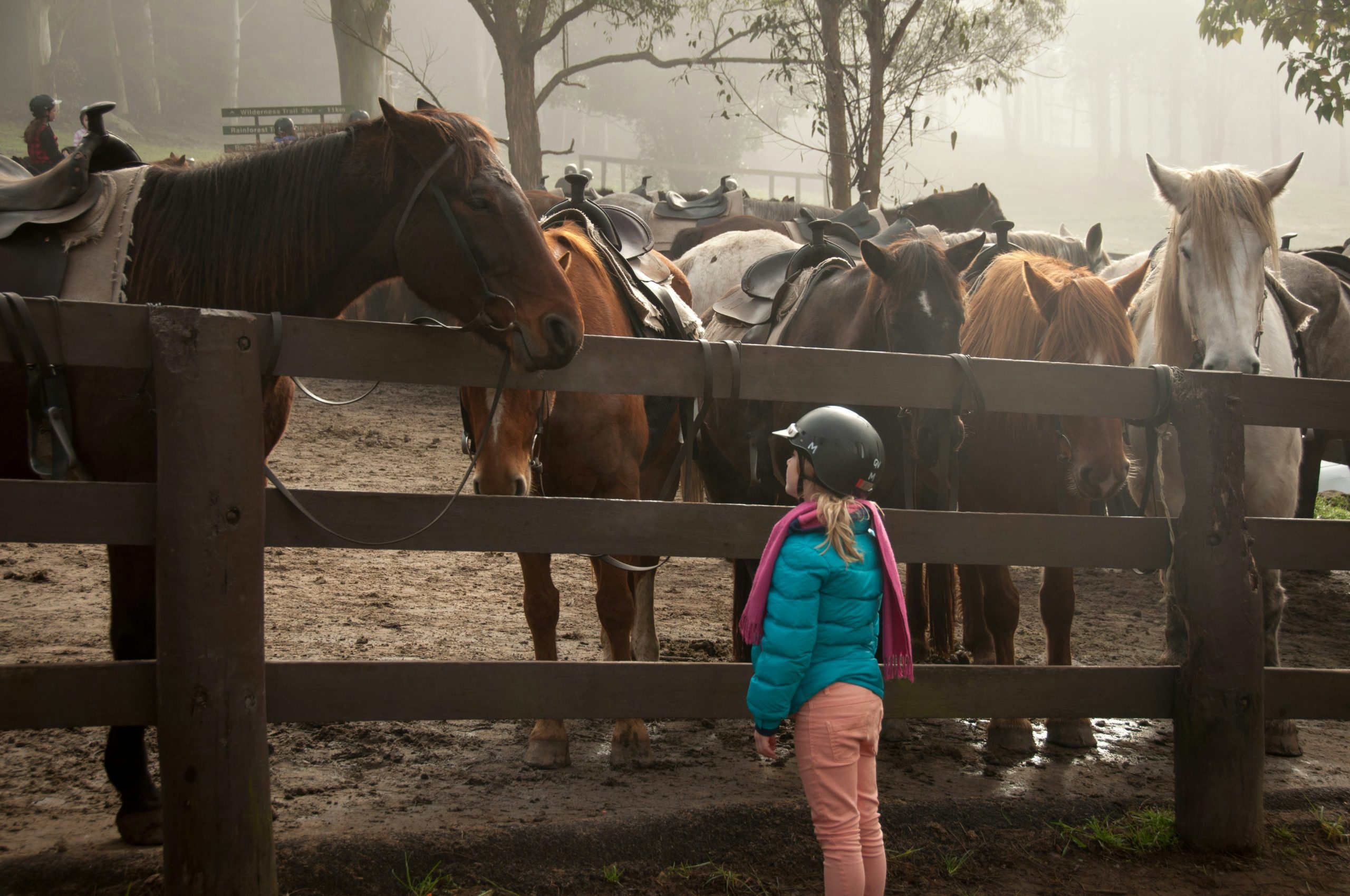 Why Horse Riding Lessons Are Beneficial For Young Children