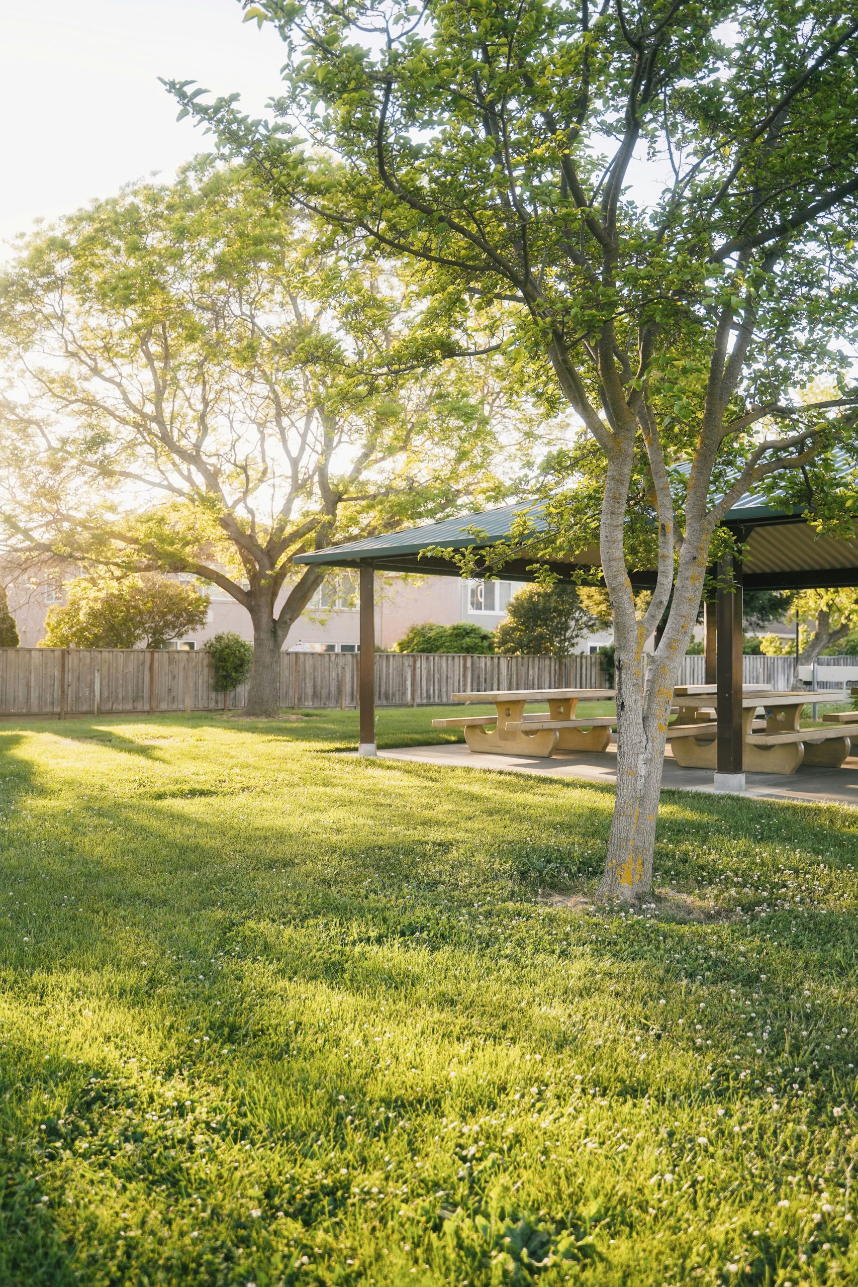 4 Ways To Improve & Enhance Your Backyard