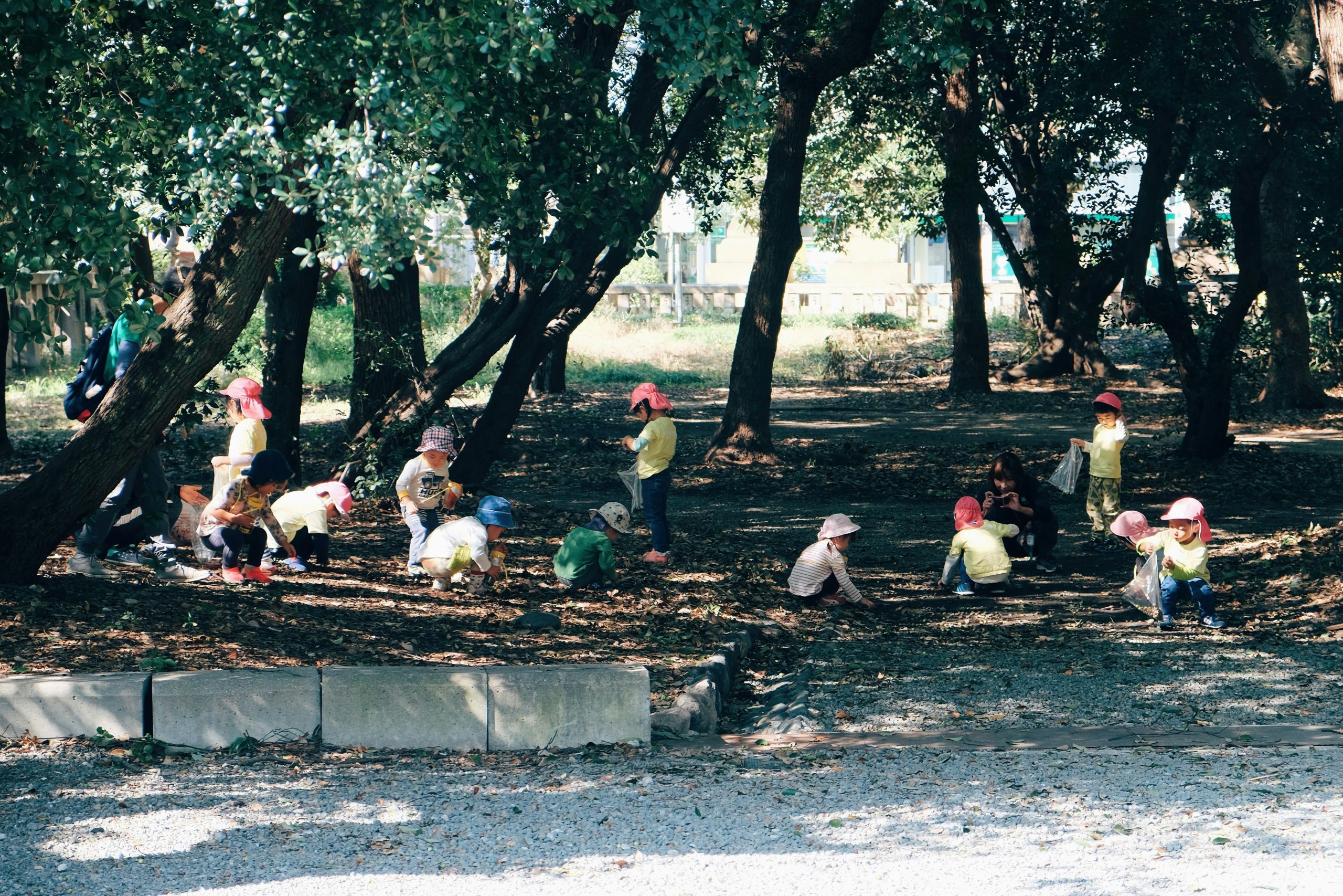 What is Forest School and Why Does it Matter?