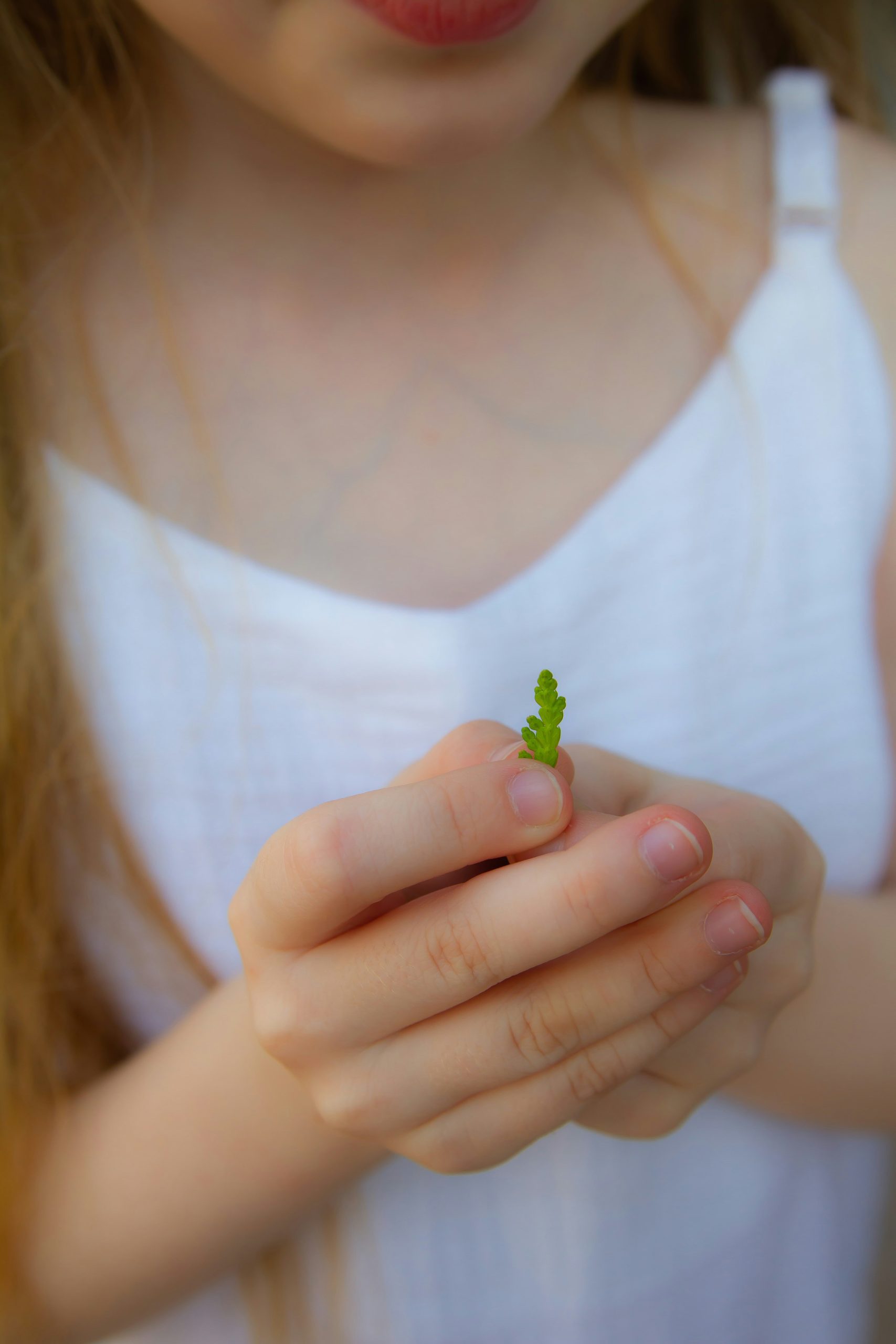 How to Encourage a Growth Mindset in Your Child