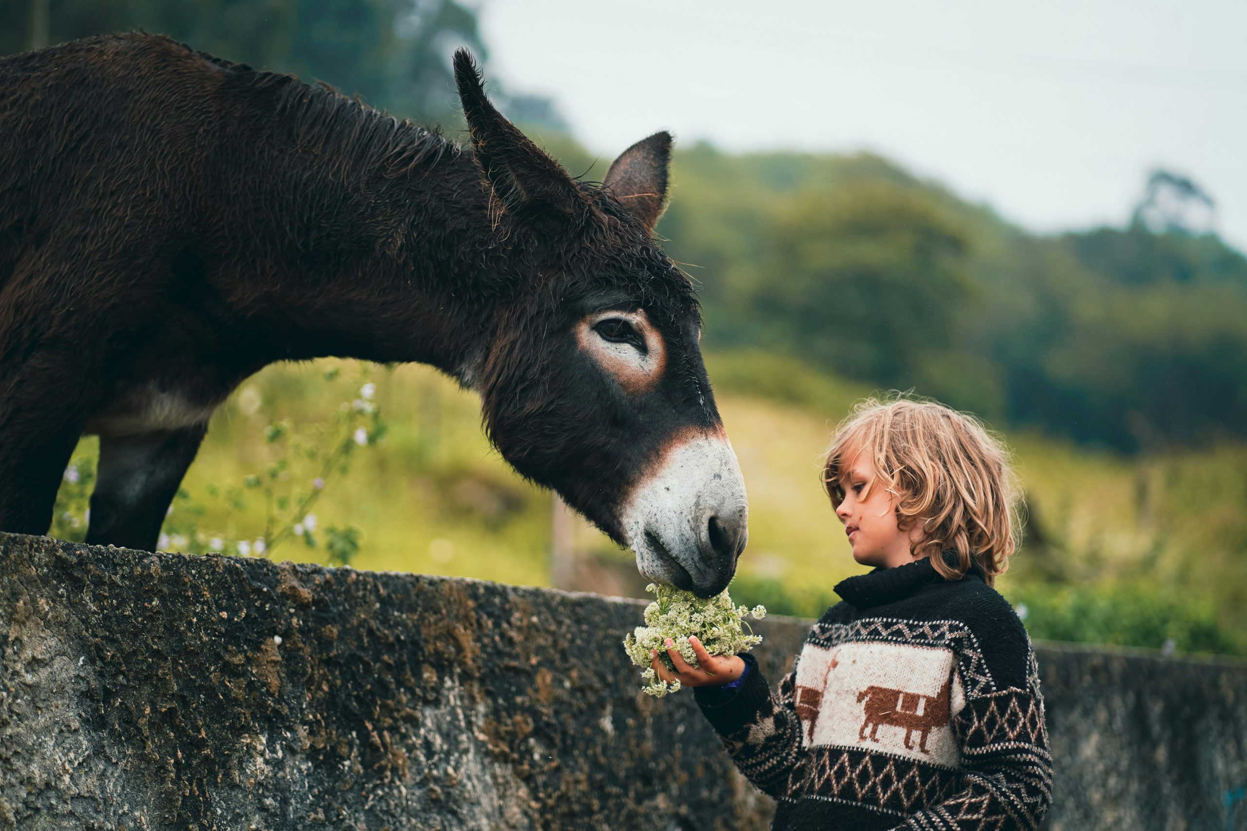 Tips for Raising a Compassionate Child