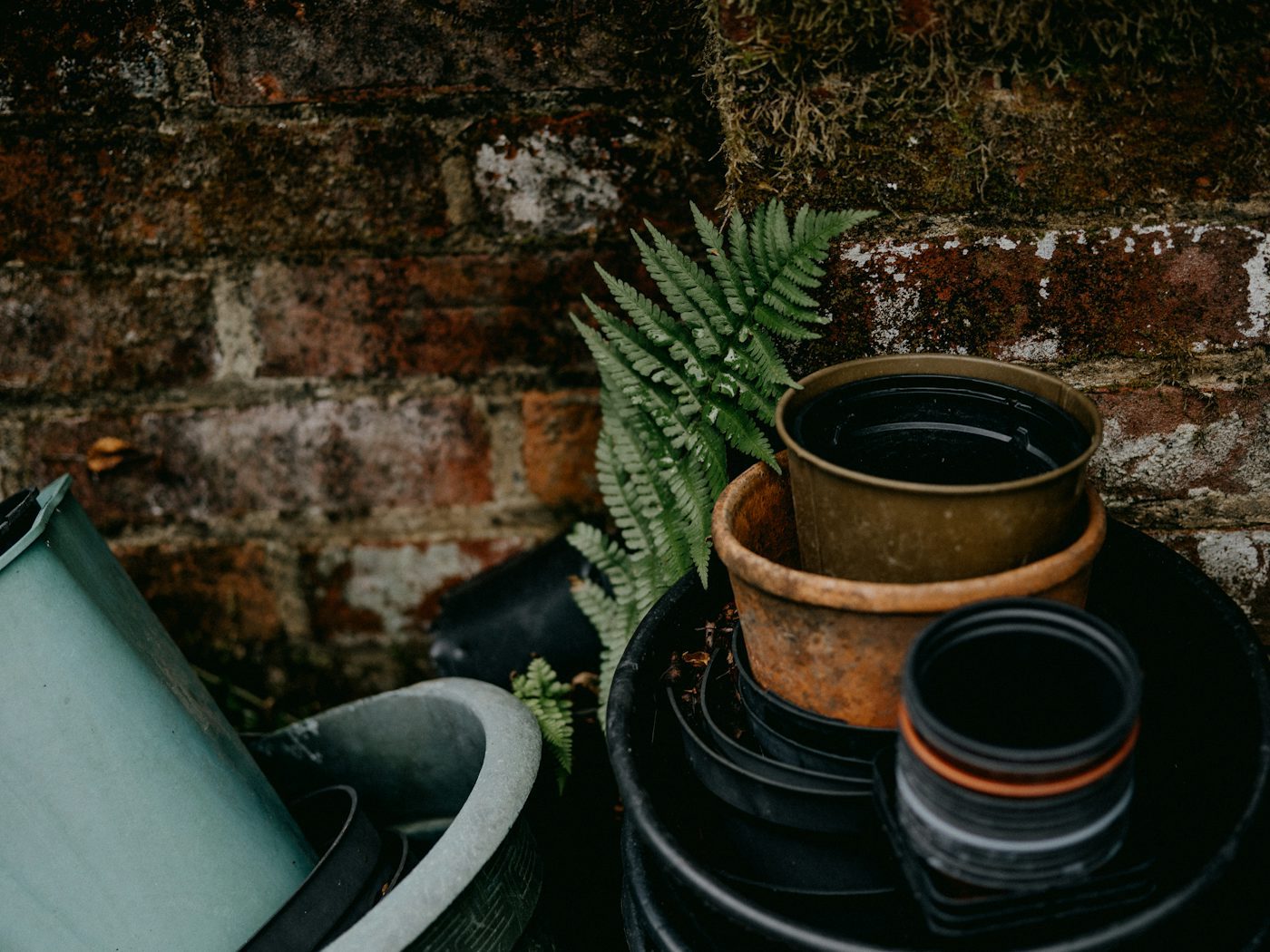 Garden Upgrades To Get Done During Low-Use Season
